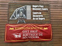 IMG_4728