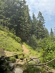 IMG_4740
