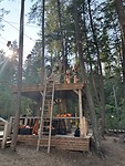 IMG_6231