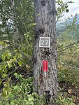 IMG_6262