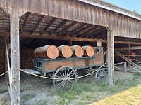 IMG_6394