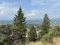 IMG_6417
