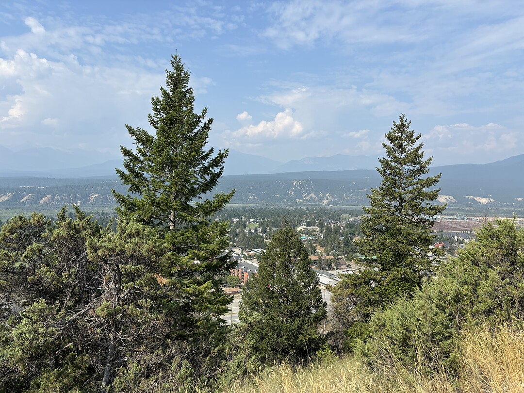 IMG_6417