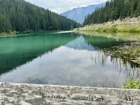 IMG_4962