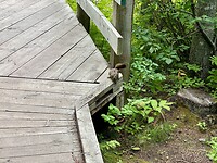 IMG_4965
