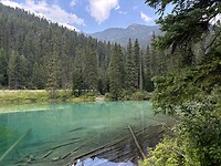 IMG_6446