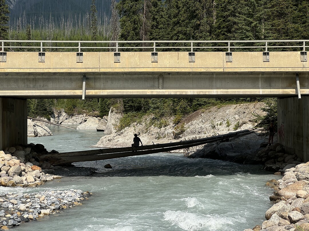 IMG_4990