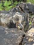 IMG_5001