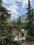 IMG_6481