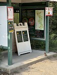 IMG_5032