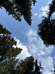 IMG_6497