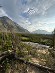 IMG_6502