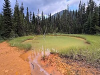 IMG_5050