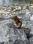 IMG_5107