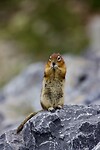 IMG_5485