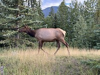 IMG_5142