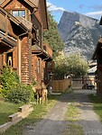 IMG_5149