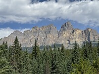 IMG_5230