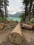 IMG_5551