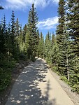 IMG_7296