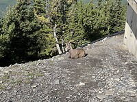 IMG_5875