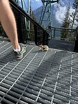 IMG_7181