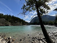 IMG_7186