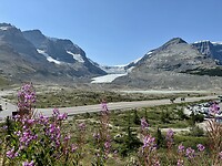 IMG_5994