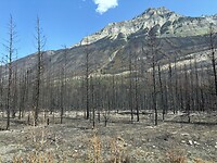 IMG_7321