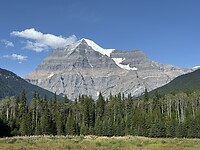 IMG_7335