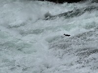 IMG_6069