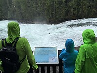 IMG_7438