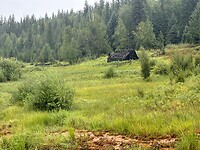 IMG_7485