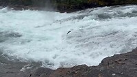 IMG_7454