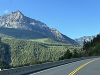 IMG_7504