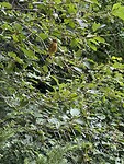 IMG_6167