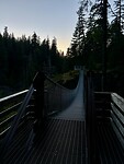 IMG_6284