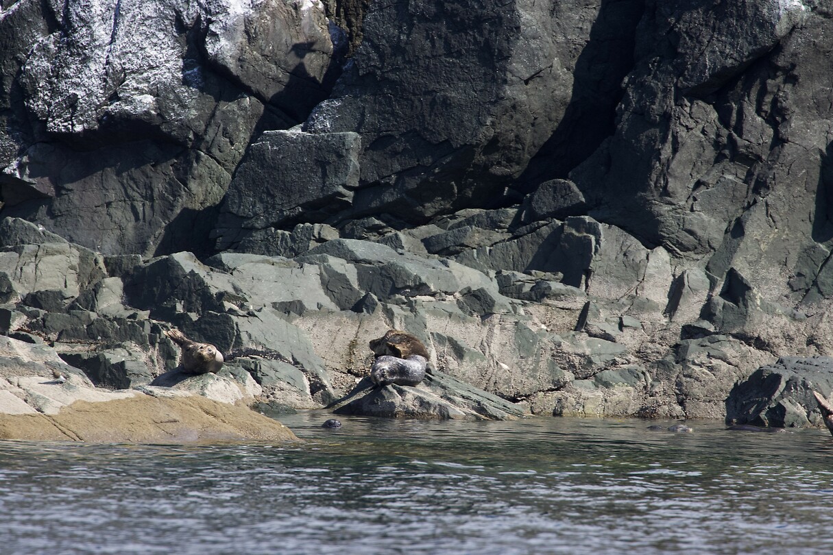 image_123650291