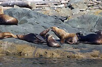 image_123650291