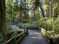 IMG_7642