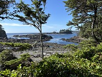 IMG_7727