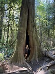 IMG_7661