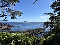 IMG_7685