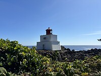IMG_7716
