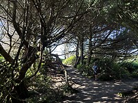 IMG_7719