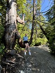 IMG_7754