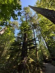 IMG_7646