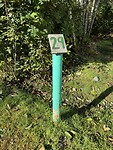 IMG_6428