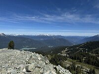 IMG_6553