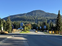 IMG_6782